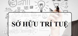 sở hữu trí tuệ là gì