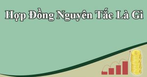 hợp đồng nguyên tắc